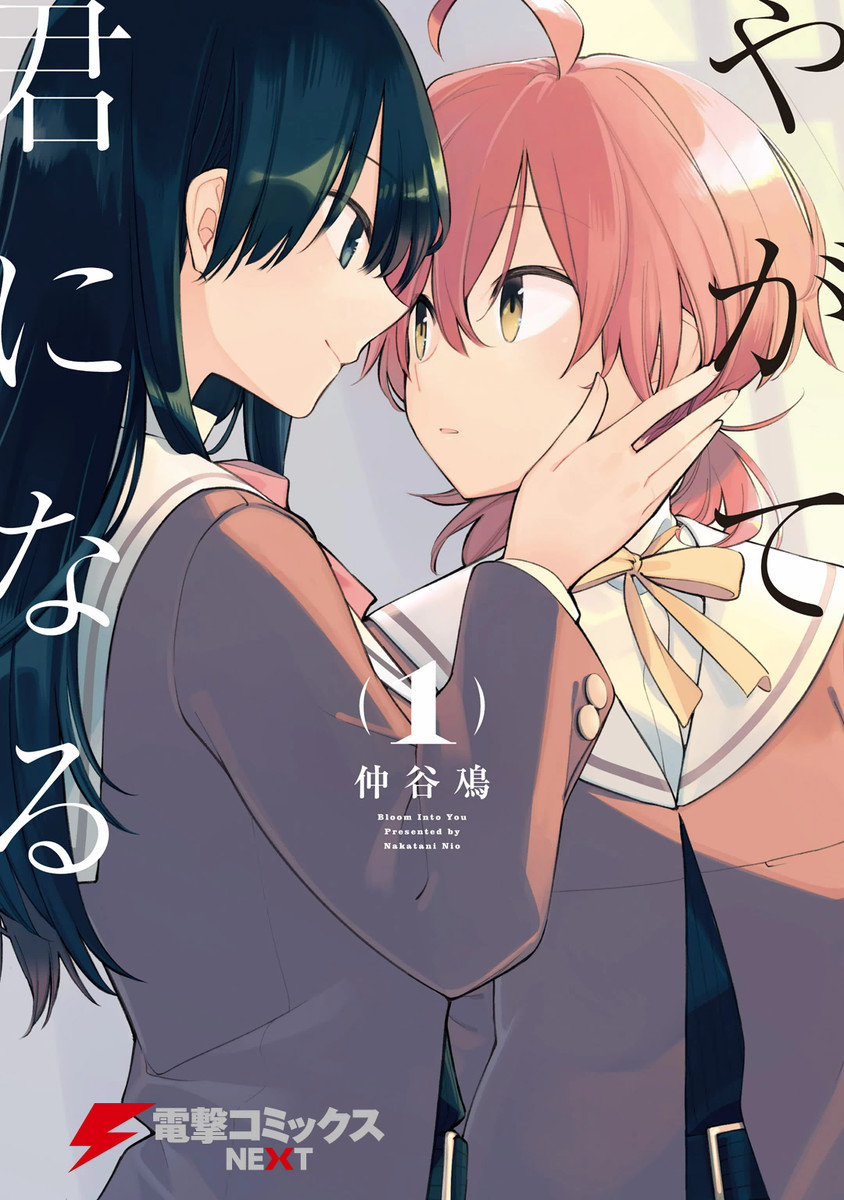 bity cover